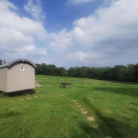 Molly Dishwasher Shepherds Hut Frant Exteriér fotografie
