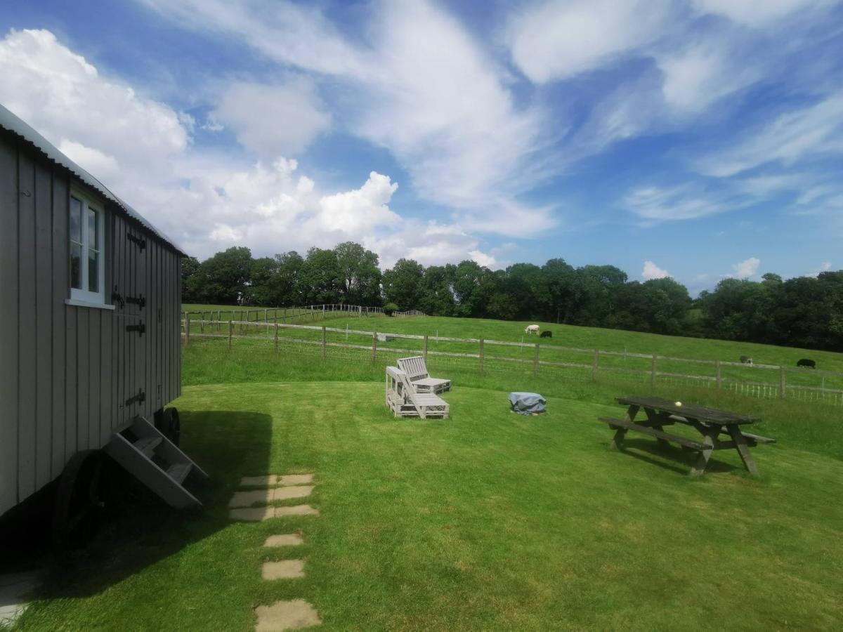 Molly Dishwasher Shepherds Hut Frant Exteriér fotografie